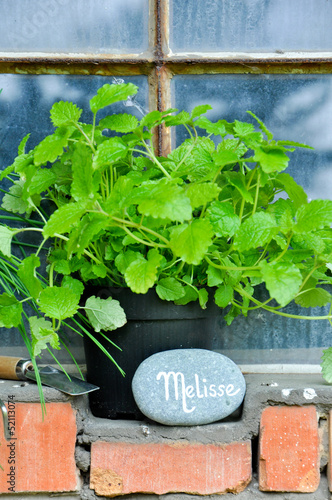 Photo: Melisse Melisse
