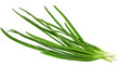 Young onion on white background. Close-Up. Isolated.