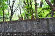 Group of monkeys sitting on the fence