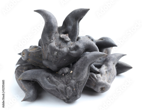 Photo: Horn shaped water caltrop Horn shaped water caltrop