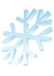 flocon de neige