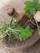 Photo: essential herbal oil essential herbal oil