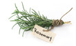 fresh rosemary