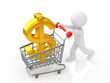 currency symbol in a shopping cart