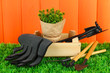 Garden tools on grass in yard