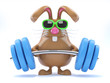 Chocolate bunny lifts some heavy weights
