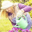 Photo: Señora regando flores un dia soleado. Señora regando flores un dia soleado.