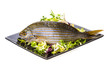 Salema porgy - sarpa fish