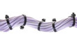 Photo: Violet Electrical cables with cable ties on white background Violet Electrical cables with cable ties on white background