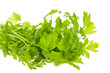 Celery
