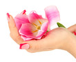 Closeup of hands of young woman with elegance manicure and
