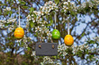 Schiefertafel am Birnbaum, Textfreiraum, Ostereier