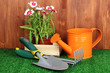 Foto: Gardening tools on wooden background Gardening tools on wooden background