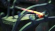 metal forging