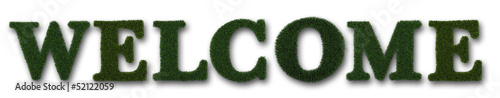 Illustration: welcome welcome