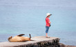 Sea lion and boy