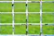 View From Grid Window
