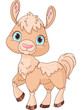 Llama
