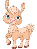Llama