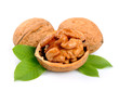 walnuts with leafs
