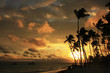 Silhouettes of palm trees on a tropical beach at sunrise