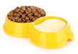 Dry dog treats in bowl isolated on white
