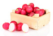 Small garden radish in wooden box isolated on white