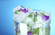 Ice cubes with flowers and herbs in glass, on blue background