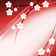 Illustration: 梅の花 梅の花