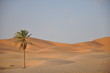 les dunes de merzouga