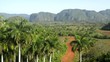 Nature and landscape, hills and mountains in Viñales, Cuba
