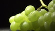 bunch of green grapes on a black background with water drops