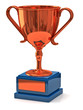 Bronze cup of the winner on white background