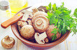 mushroom