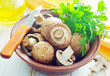 mushroom