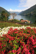 giardino fiorito a Faggeto Lario - lago di Como