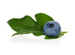 Photo: Ripe blueberry Ripe blueberry