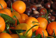 Mandarins and chestnut in autumn