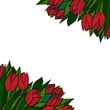 Vector: czerwone tulipany kwiaty ozdobne tło z miejscem na tekst czerwone tulipany kwiaty ozdobne tło z miejscem na tekst