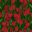 Vector: czerwone tulipany kwiaty na białym tle nieskończony deseń czerwone tulipany kwiaty na białym tle nieskończony deseń