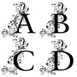 Alfabeto