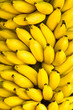 Bunch of ripe bananas background