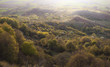 morning landscape with green trees and hills in spring