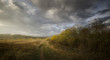 rural landscape with road