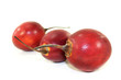 Tamarillo