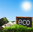 gas mask and a blackboard with the word ecology