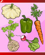 vegetables set cartoon illustration