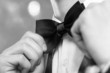 Man's hands touches bow-tie