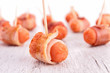 sausage wrapped in bacon