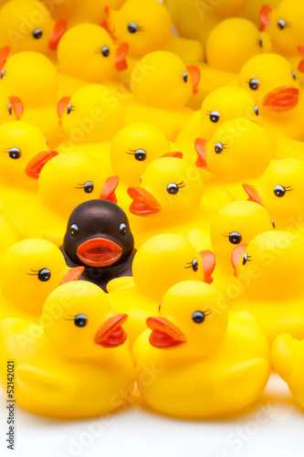 Photo: patos de goma patos de goma